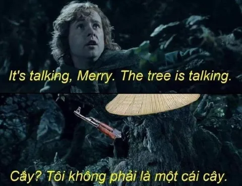 Cây? Tôi không phải là một cái cây