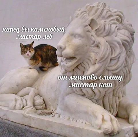Кот на льве отвечает льву