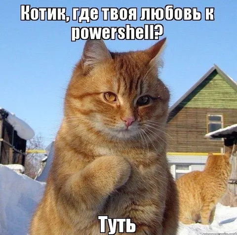 Котик и любовь к PowerShell