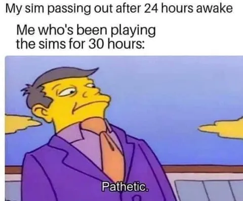 Playing The Sims For 30 Hours