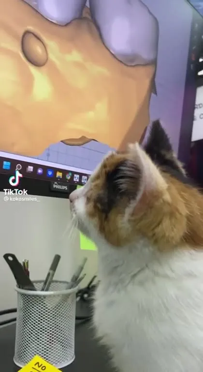 Котёнок мешает работе