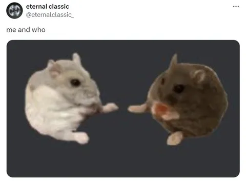 Me and Who Hamsters