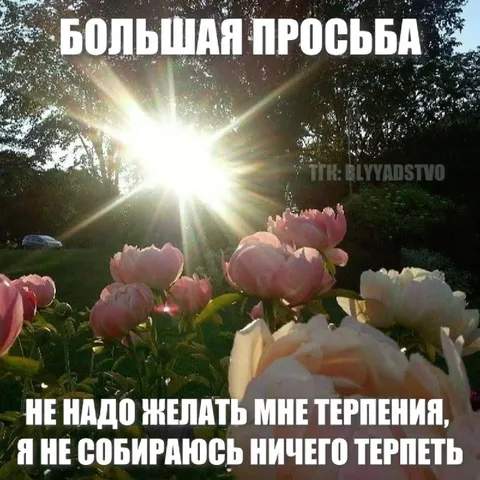 Большая просьба не терпеть