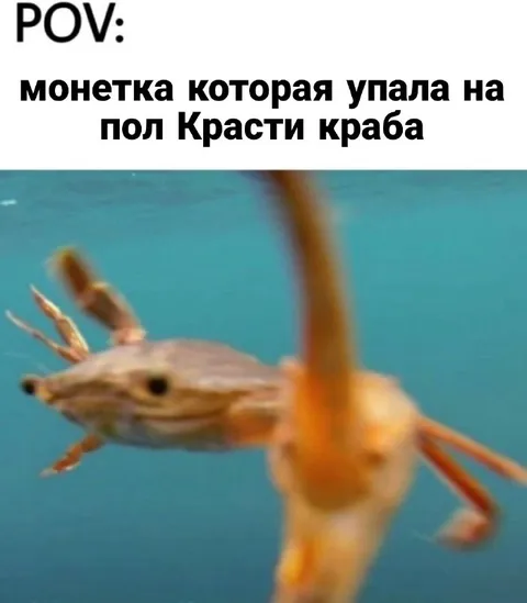 Монетка под полом Красти Краба