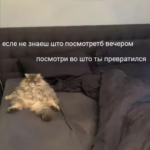 Во что ты превратился