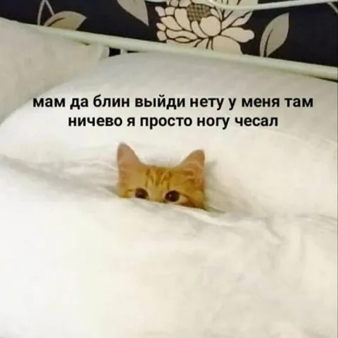 Мам, я просто ногу чесал