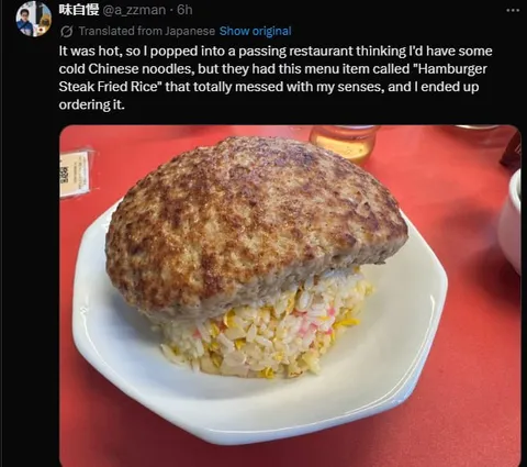 Hamburger Steak Fried Rice