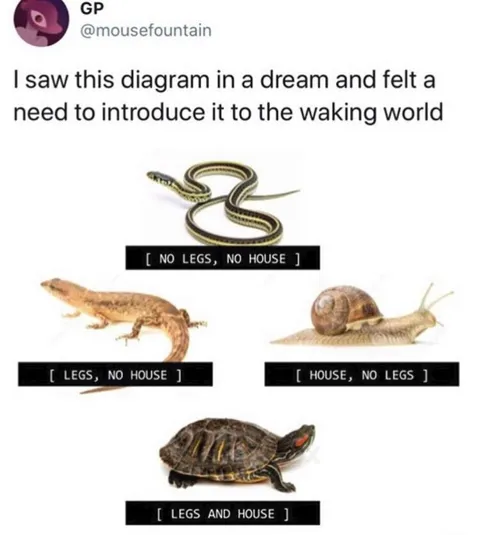 No Legs, No House Diagram