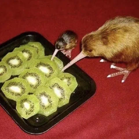 Киви ест киви