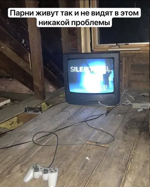 Парни живут без проблем