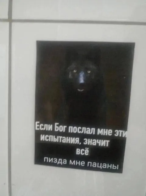 Если Бог послал мне эти испытания