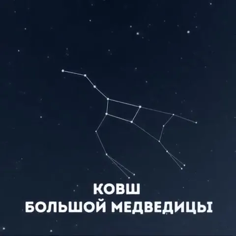 Созвездия, о которых вы не знали