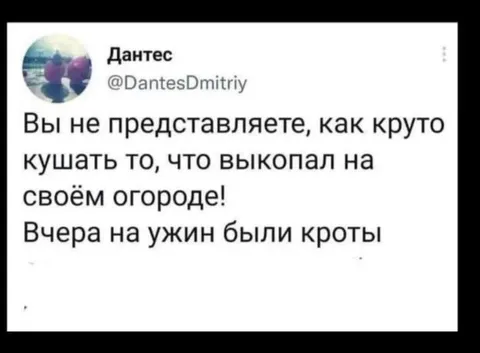 Ужин из собственного огорода