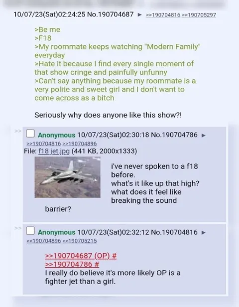 Roommate Thinks an F-18 Is a Girl