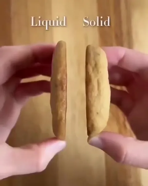Liquid Solid Twin Snakes