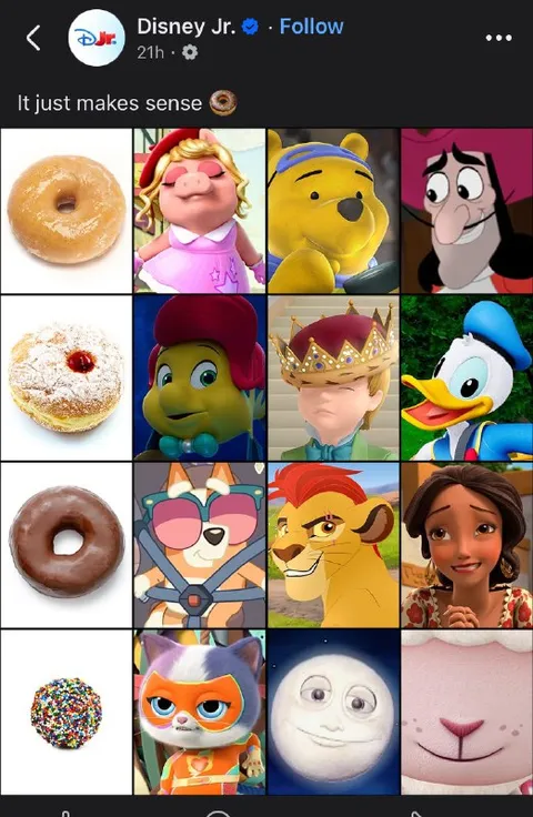 It Just Makes Sense Donut Grid