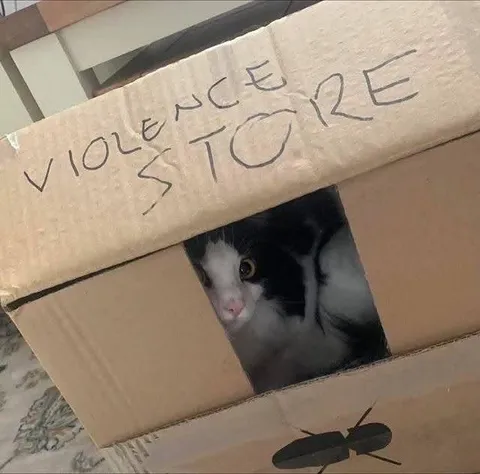 Violence to Roaches
