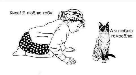 Киса любит гомеоблю