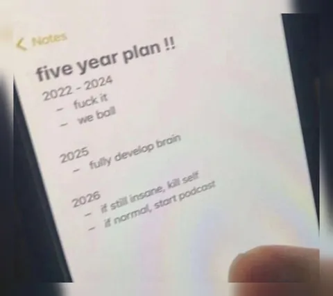 Five Year Plan Goes Wrong