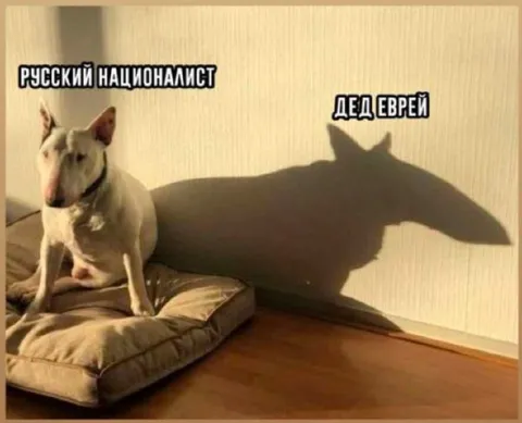 Русский националист и дед еврей