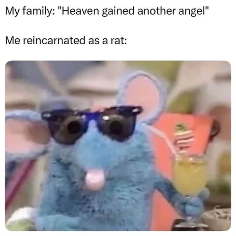Reincarnated as a Cool Rat