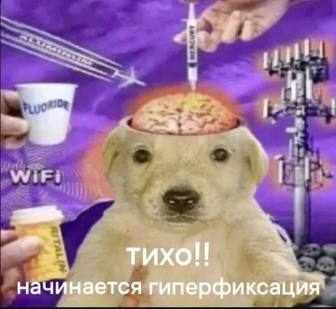 Начинается гиперфиксация