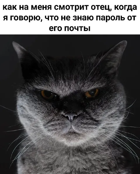Отец узнал про пароль