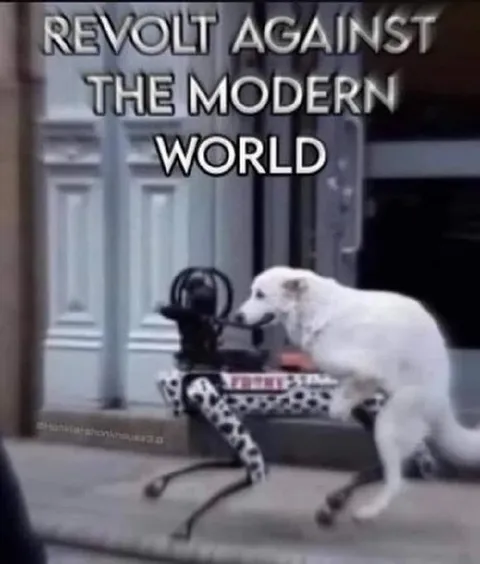 Revolt Against the Modern World
