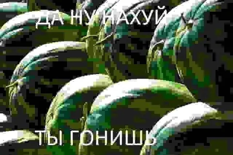 Ты гонишь для удачи