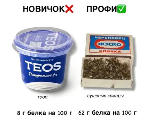 Новичок и профи по белку