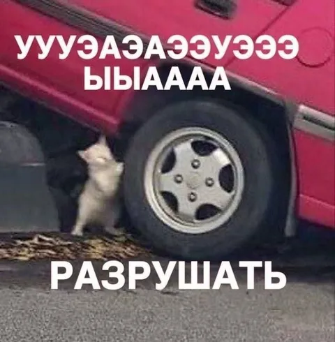 Кот пытается разрушить машину