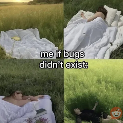 Me If Bugs Didn’t Exist