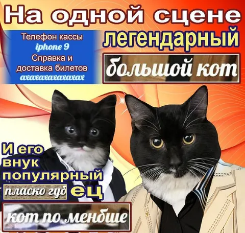 На одной сцене легендарные коты