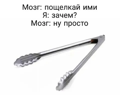 Мозг просит пощелкать ими