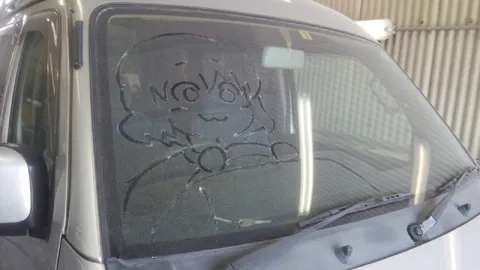 Кот на лобовом стекле