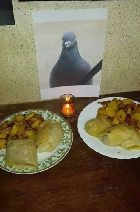 Поминальный ужин для голубя