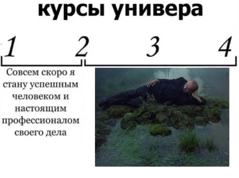 Курсы универа и успешная карьера
