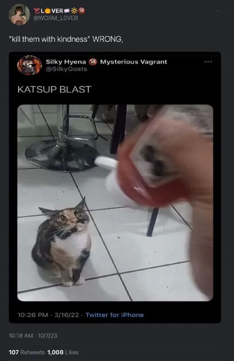 Katsup Blast Cat