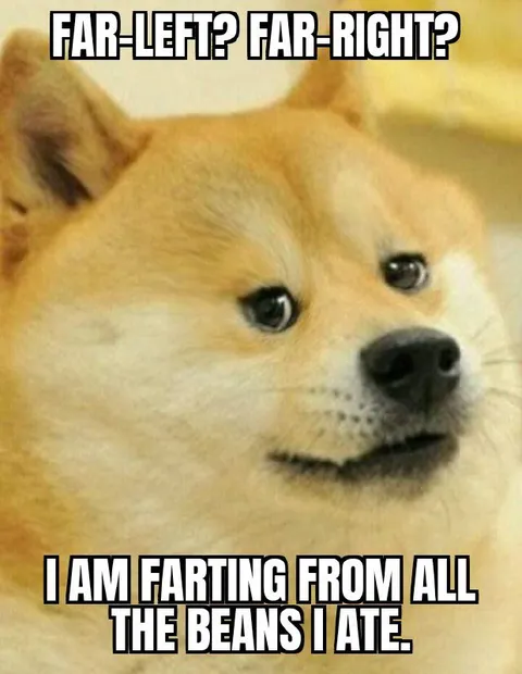 Doge Farting From Beans