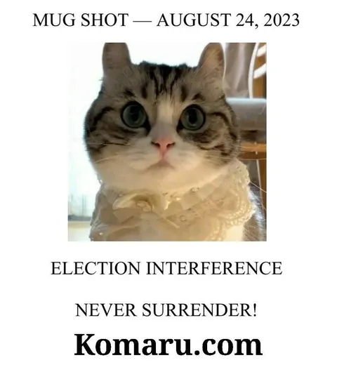 Cat Mug Shot Election Interference