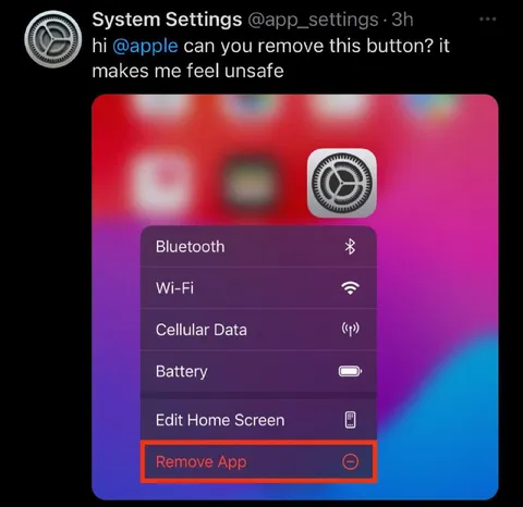 System Settings Wants the Button Removed