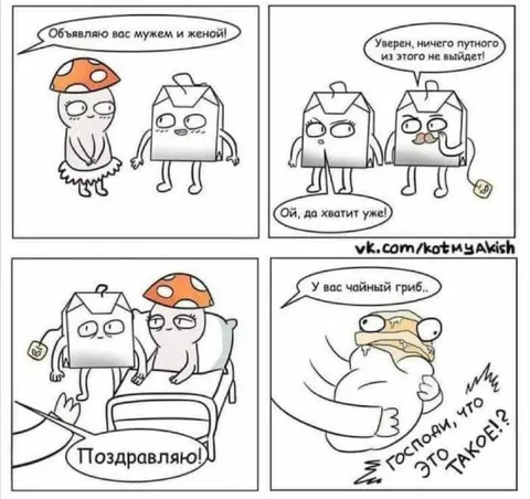 Свадьба чайного гриба и коробки