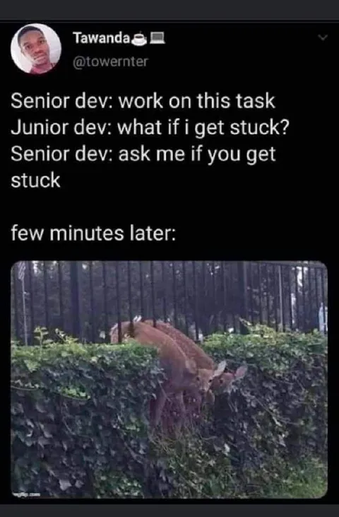 Junior Developer Gets Stuck