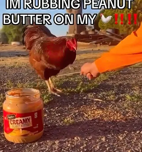 Chicken Peanut Butter Reaction