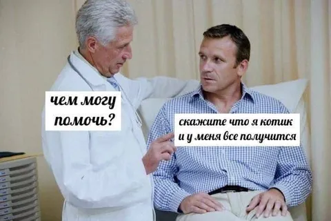 Скажите, что я котик