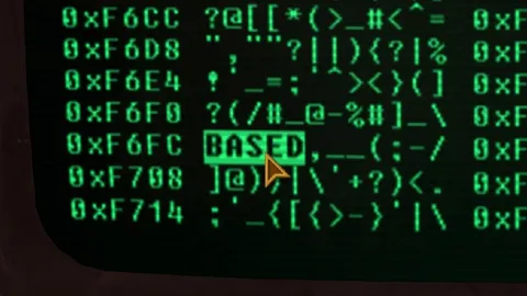 BASED Terminal Code