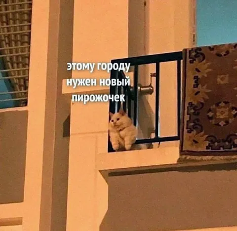 Городу нужен новый пирожочек