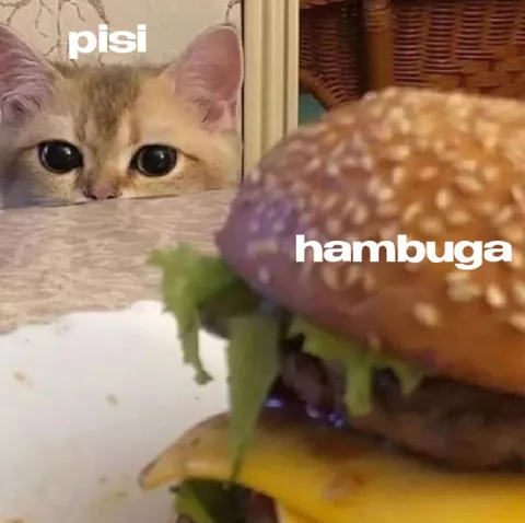Pisi Wants Hambuga