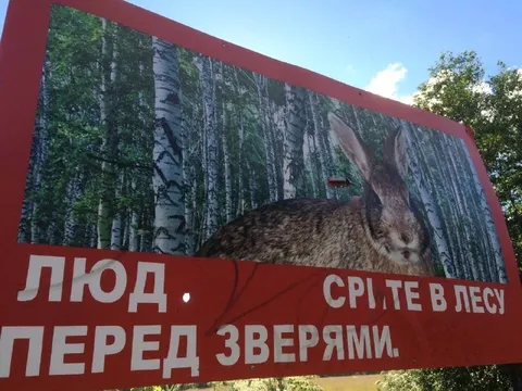 Люд, сріте в лісі