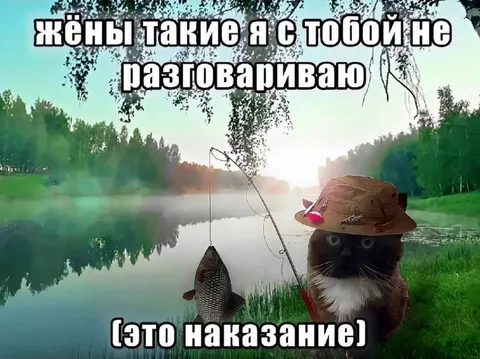 Жёны не разговаривают с мужем